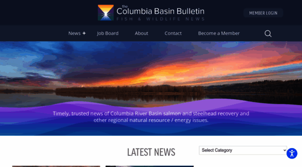 cbbulletin.com