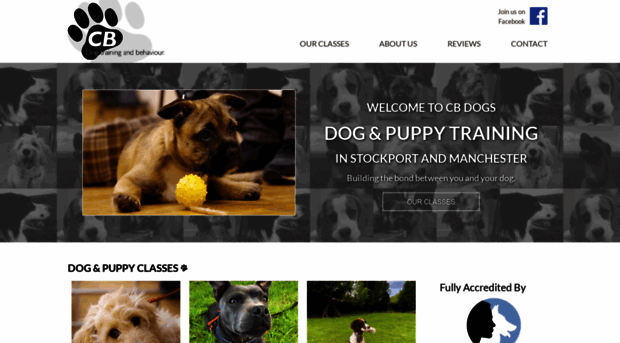 cbdogs.co.uk