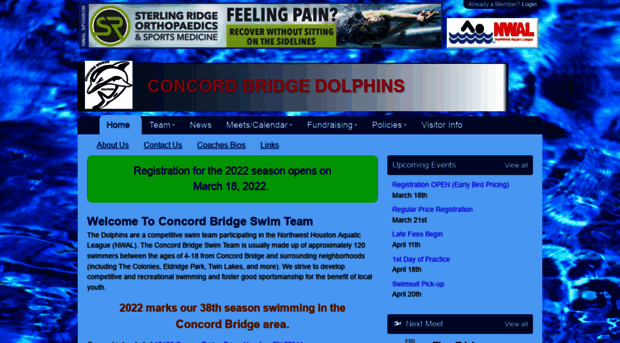 cbstdolphins.com