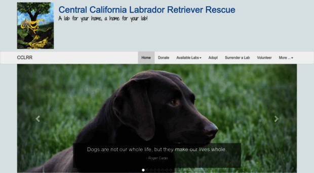 cc-labrescue.org