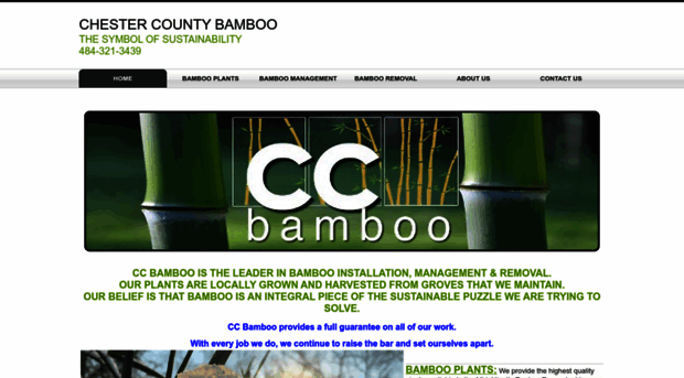 ccbamboo.com