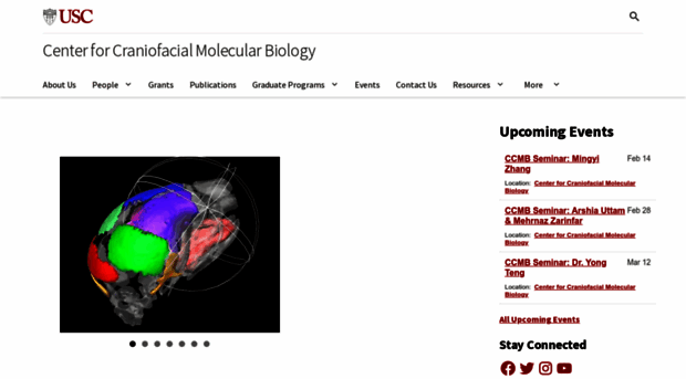 ccmb.usc.edu