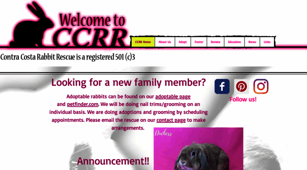 ccrronline.org