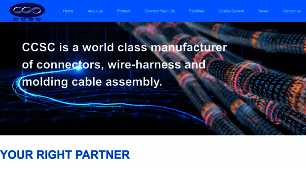 ccsc-interconnect.com