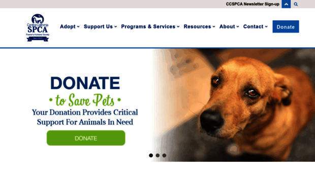 ccspca.com