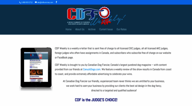 cdfsummary.com