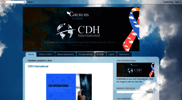 cdhsupport.blogspot.com