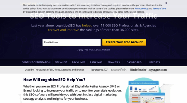 cdn.cognitiveseo.com