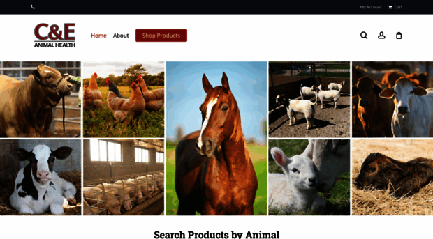 ceanimalhealth.com