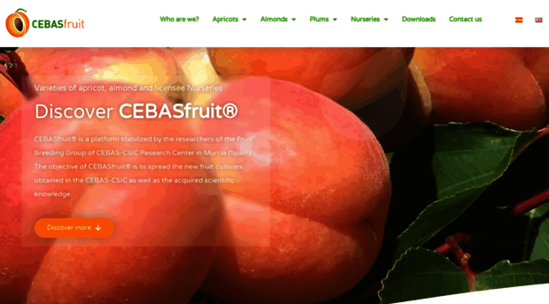 cebasfruit.com