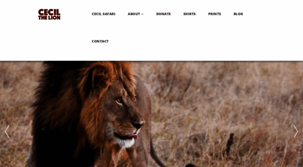 cecilthelion.org