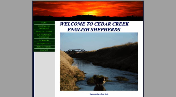 cedarcreekenglishshepherds.com