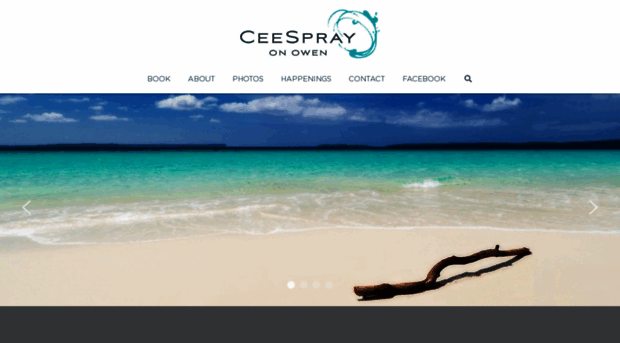 ceespray.com.au