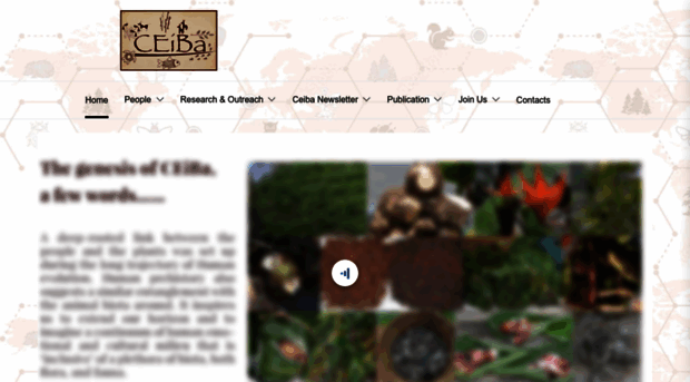 ceibatrust.org