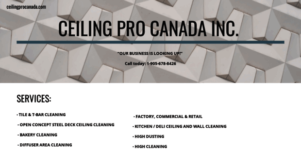 ceilingprocanada.com