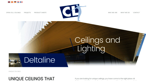 ceilings-lighting.com