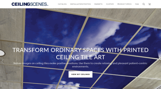 ceilingscenes.com