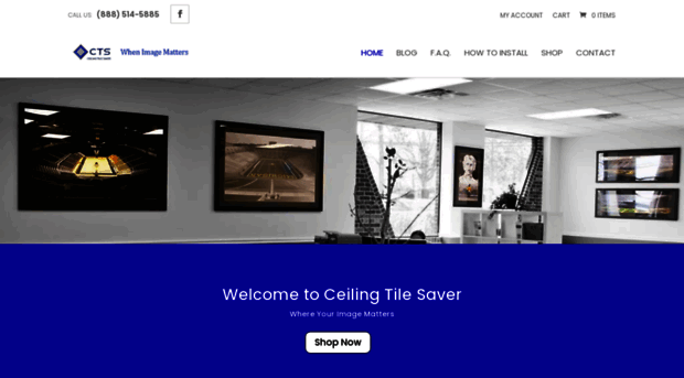 ceilingtilesaver.com