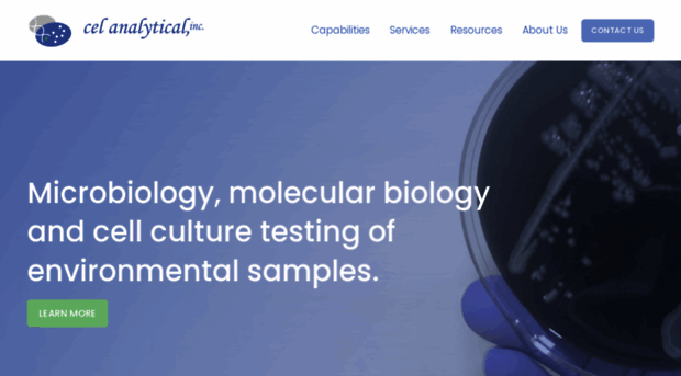 celanalytical.com