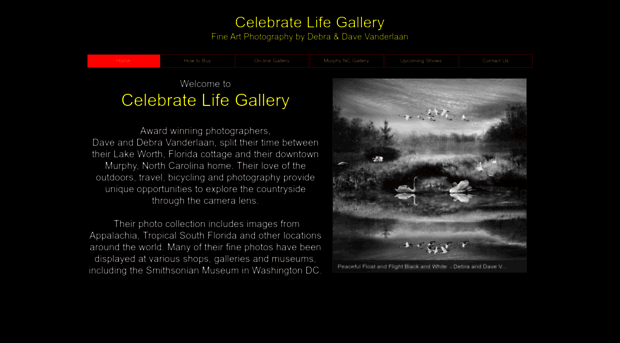 celebratelifegallery.com