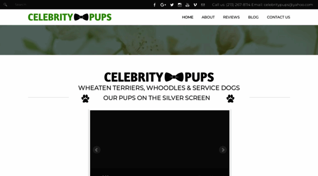 celebritypups.com