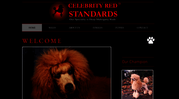 celebrityredstandards.com