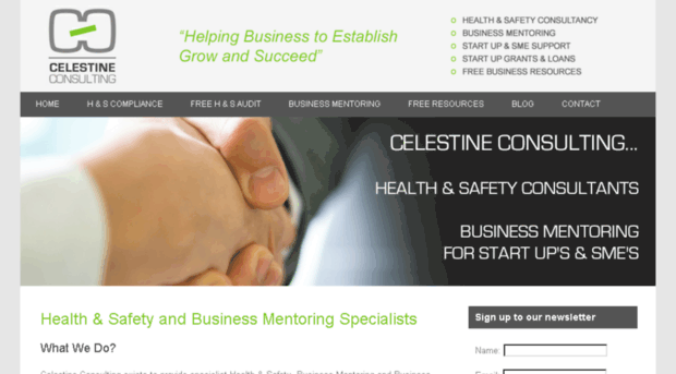 celestine-consulting.com