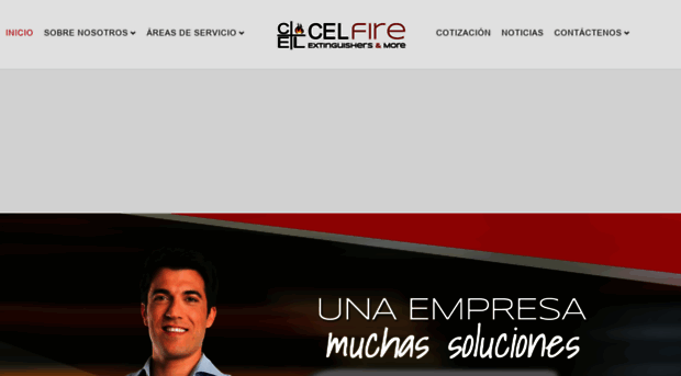 celfirepr.com