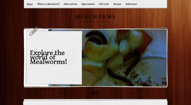 celiakaitlynmealworms.weebly.com