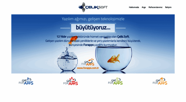 celiksoft.com