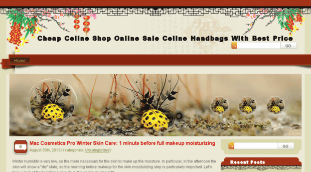 celineshop-online.com