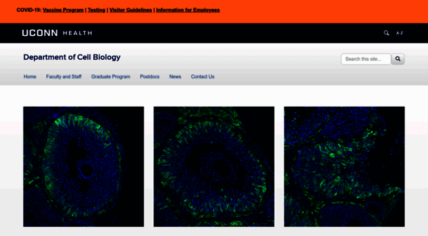 cell.uchc.edu