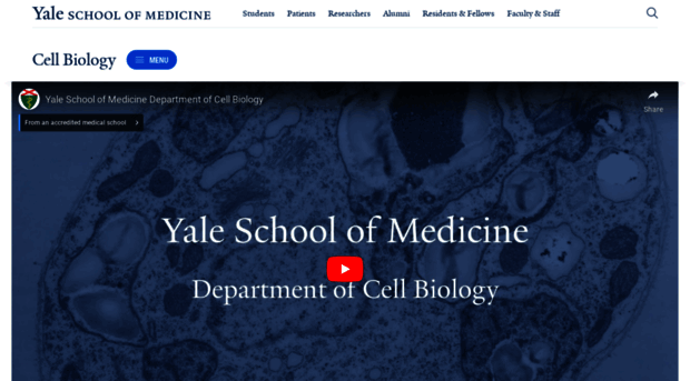 cellbiology.yale.edu