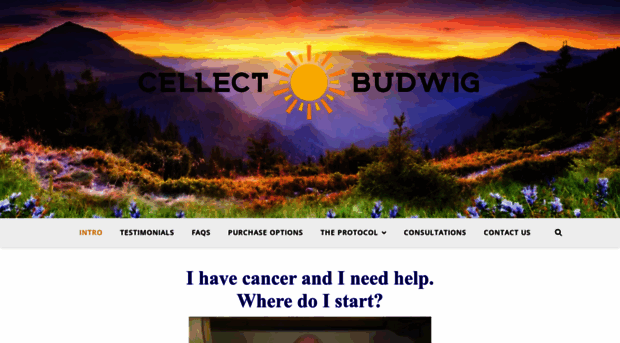 cellectbudwig.com