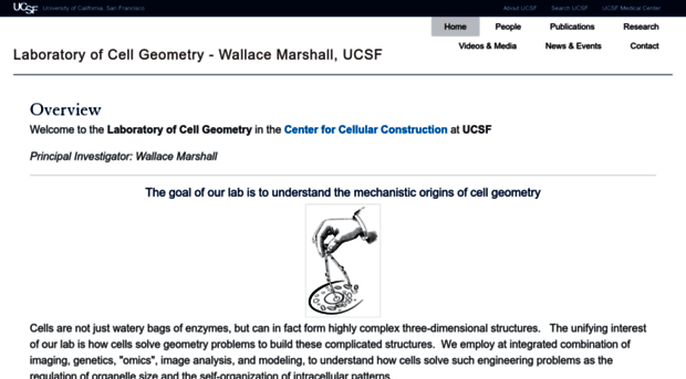 cellgeometry.ucsf.edu