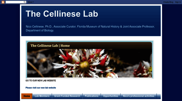 cellinese.blogspot.it