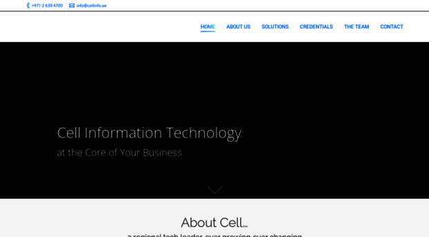 cellinfotech.com