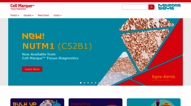 cellmarque.net