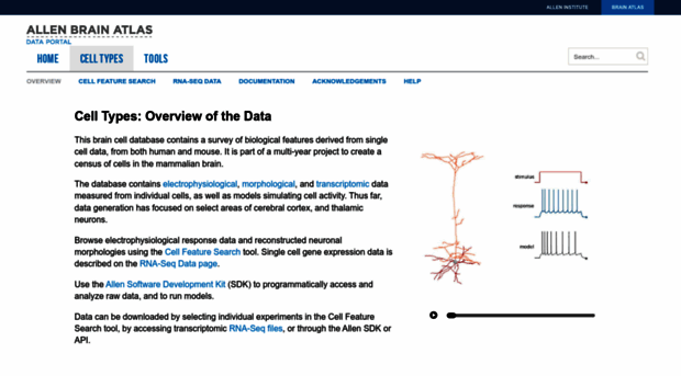 celltypes.brain-map.org