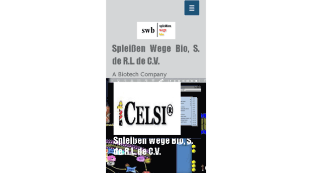 celsi-swb.com