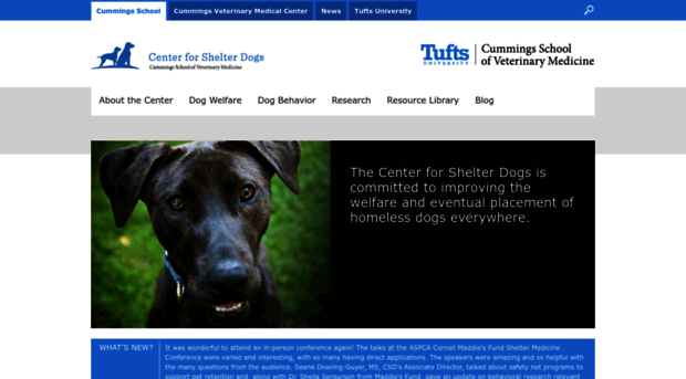 centerforshelterdogs.tufts.edu