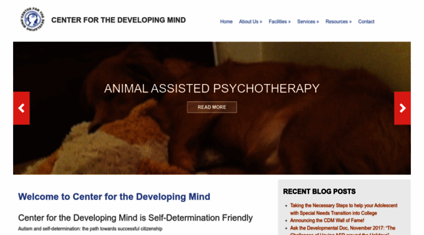 centerforthedevelopingmind.com