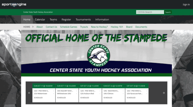 centerstatehockey.com