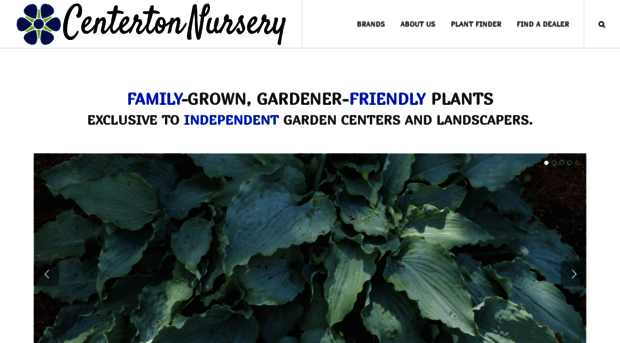 centertonnursery.com