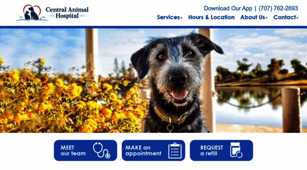 centralanimalhosp.com