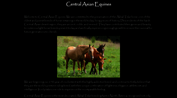 centralasianequines.com