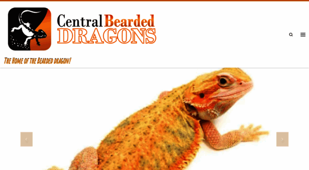 centralbeardeddragons.com.au