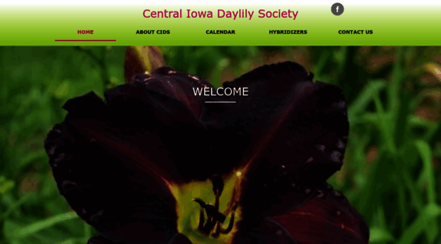 centraliowadaylilysociety.com