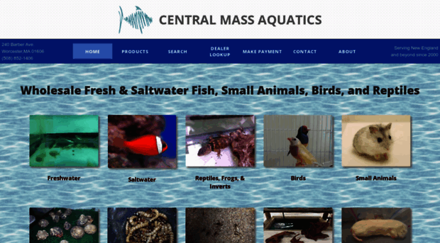 centralmassaquatics.com