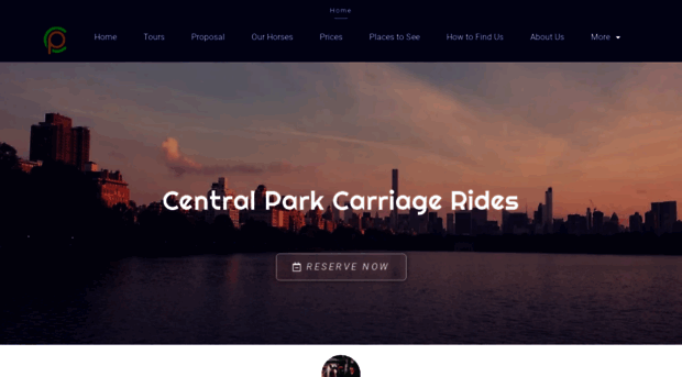 centralparkcarriagerides.com